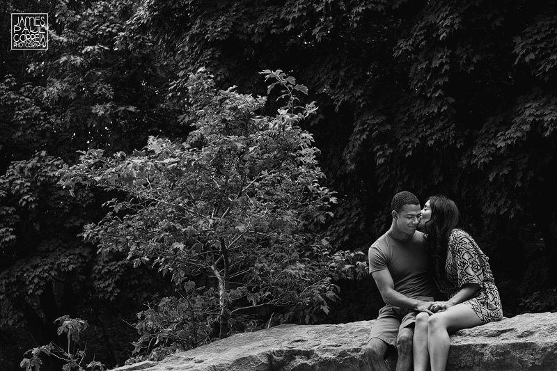 parc mount royal engagement Photographer