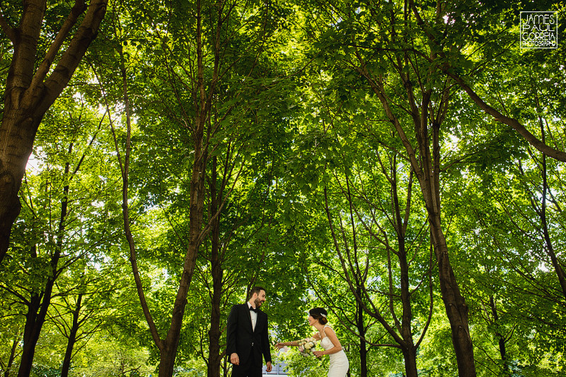 montreal wedding photographer the reveal