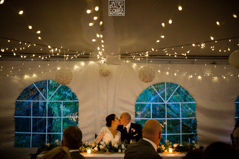 southern ontario backyard wedding reception photographer