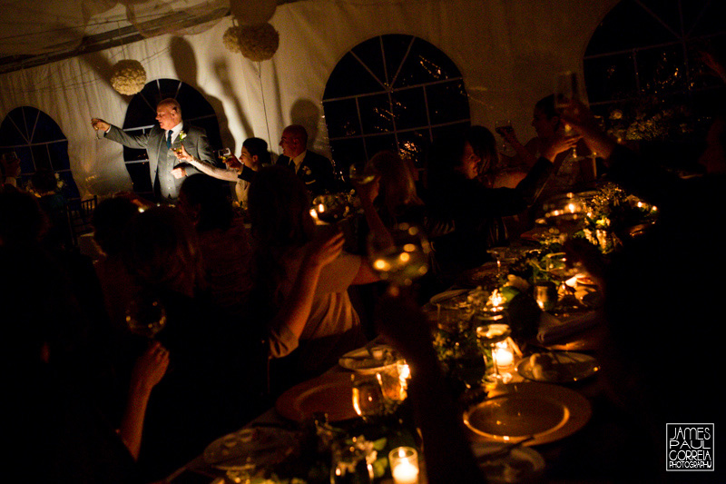 toronto backyard wedding reception toast