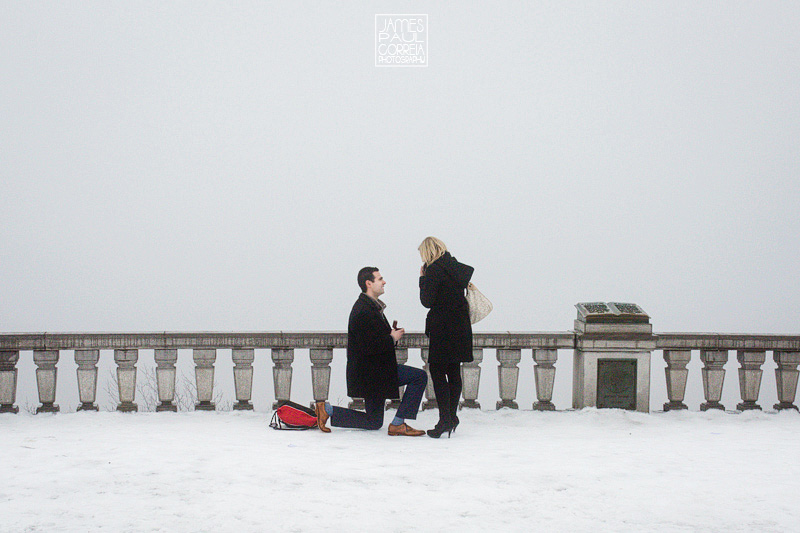 toronto surprise proposal photographer