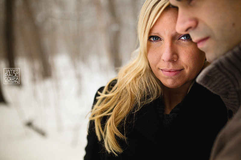 toronto surprise proposal photographer