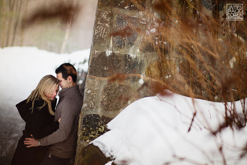 toronto surprise proposal photographer