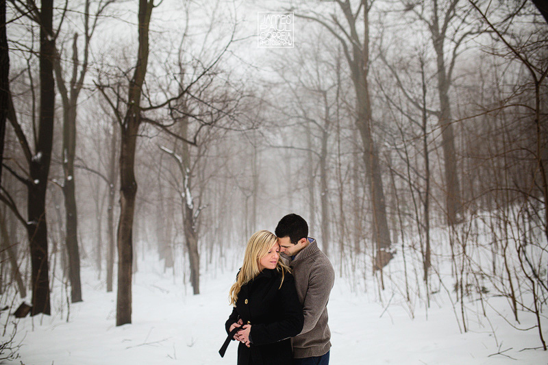 toronto surprise proposal photographer