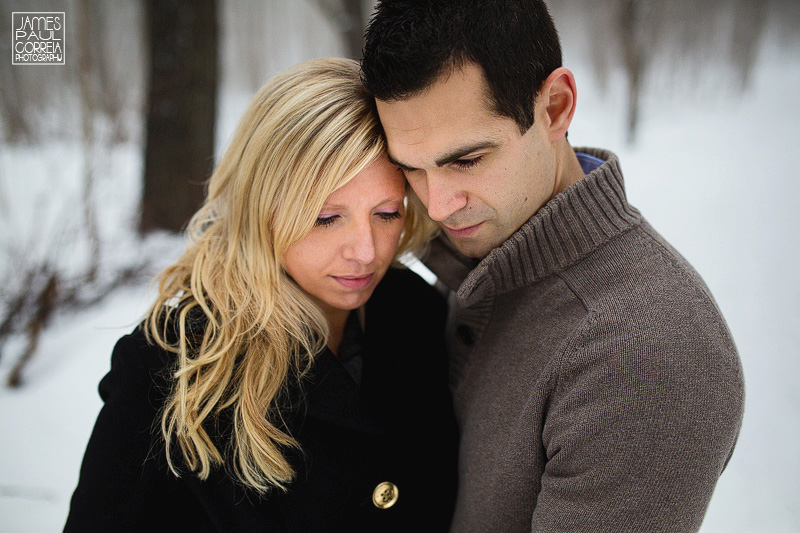 toronto surprise proposal photographer