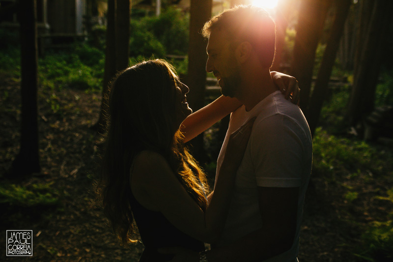 halton hills engagement photographer