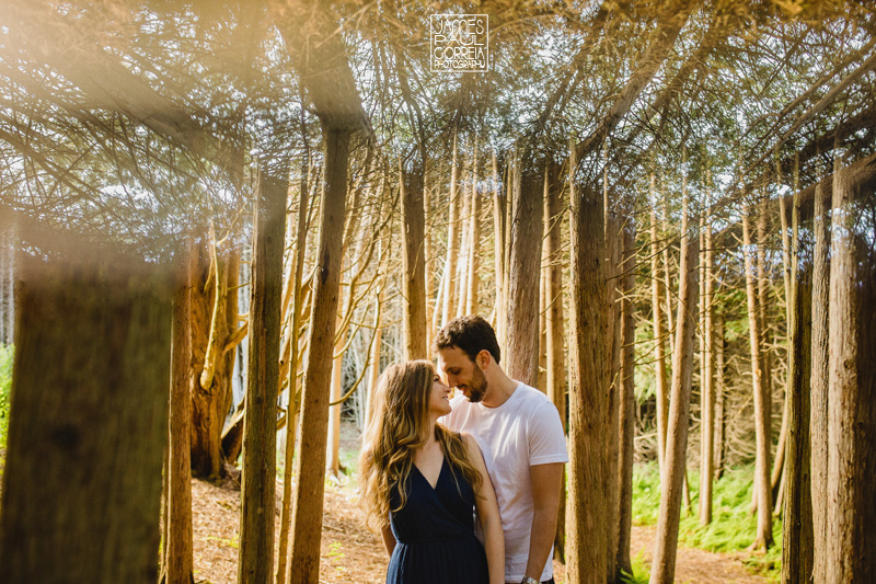 caledon engagement photographer