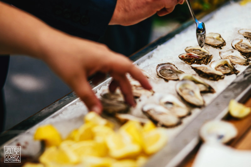 daniel notkin oyster shucking champion