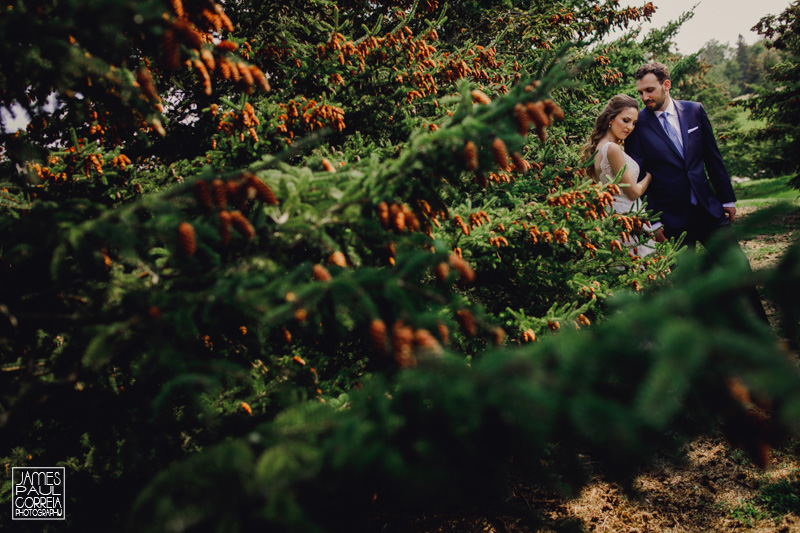 toronto cottage wedding photographer portraits