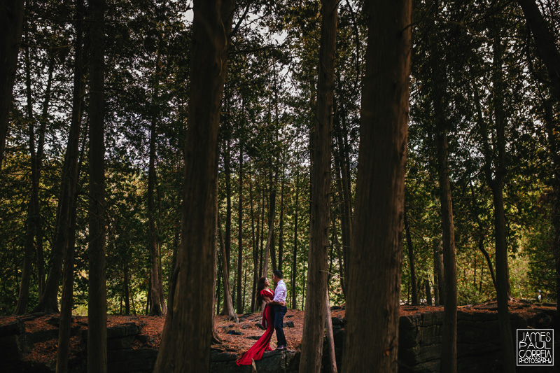 ontario forest engagement