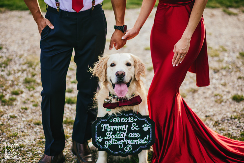 Dog engagement photos