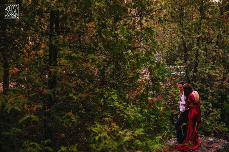 southern ontario forest wedding photographer