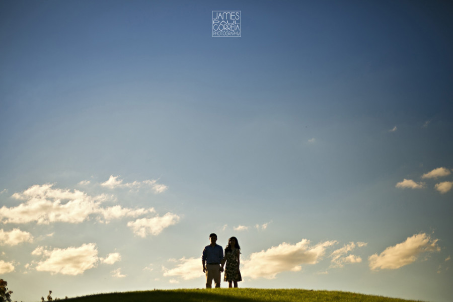 Montreal-Wedding-Photographer-Outremont-Engagement