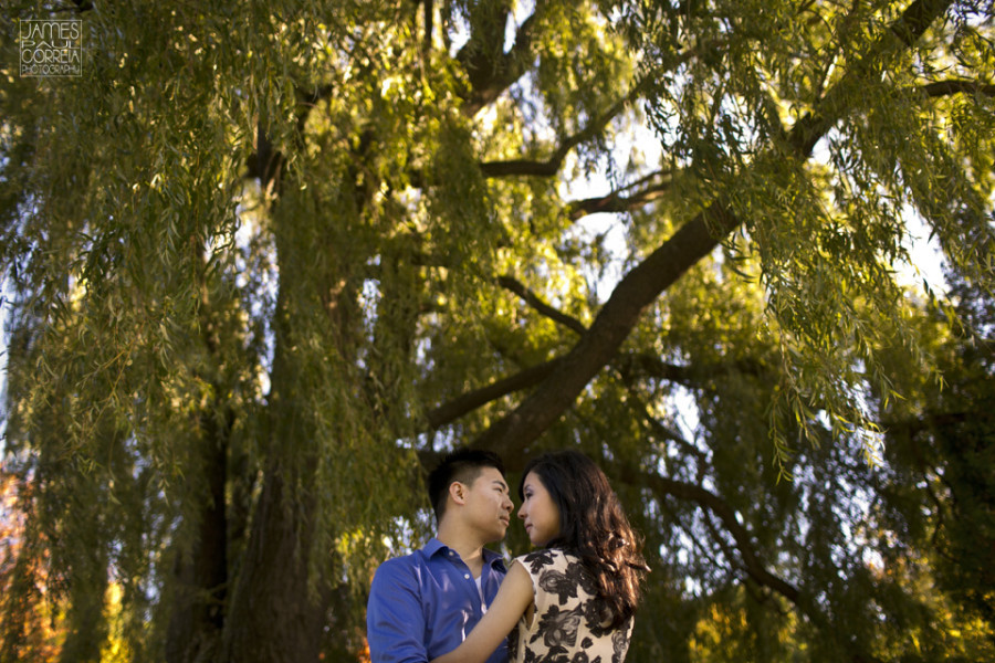 Outremont-engagement-Wedding-Photographer