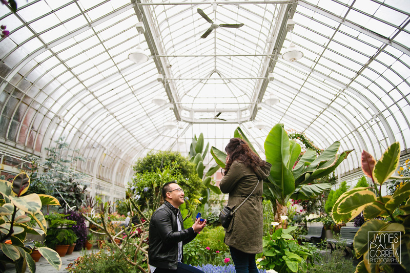 Montreal Westmount greenhouse Surprise marriage Proposal