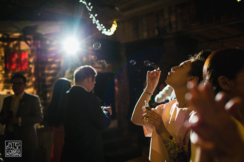 canmore cornerstone bubbles wedding photographer