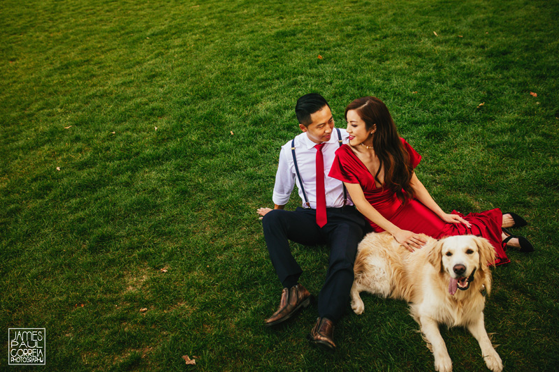 Engagement Session with Pet dog